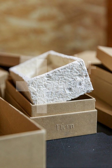 Nottingham, England, UK, 7 November 2022 - Packaging made of mushrooms and carboard for perfume brand Ffern at Magical Mushroom Company’s Attenborough factory, Magical Mushroom Company is a firm specialized in producing packaging made of mushrooms, to replace polystyrene.. Magical Mushroom Company