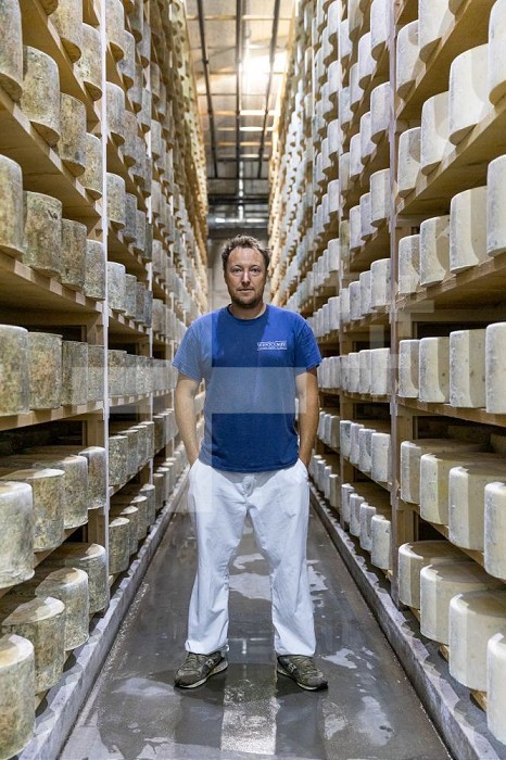 Evercreech, Engfand, UK, 19 October 2023 - Portrait of cheesemaker Tom Calver in Westcombe Dairy farm’s cheddar aging cellar.. British cheese