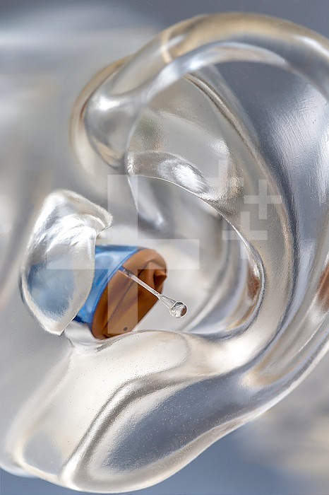 Demonstration on a hearing aid placed in a transparent false ear.