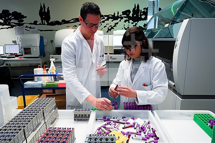 Technical platform of the Inovie 34 laboratory . Sorting sample tubes from other laboratories before dispatch with the automated sorter. The tubes will be directed according to the analyzes requested.