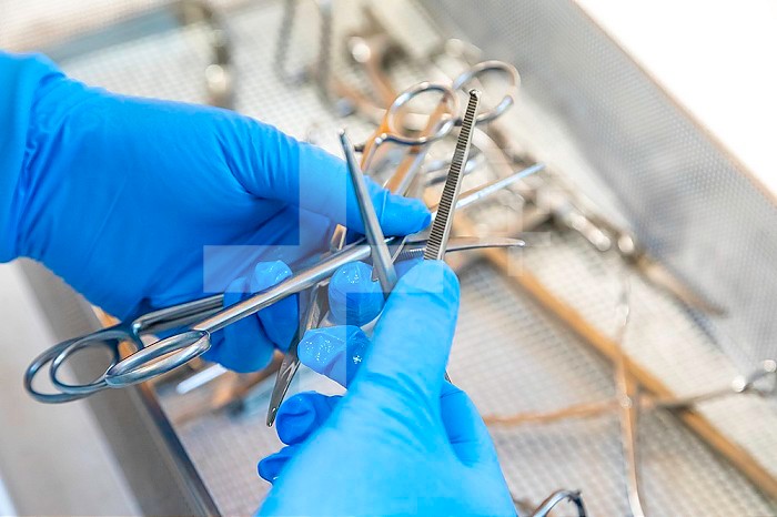 Gloved hands of a technician handling surgical instruments in the tray in the washing room before sterilization.