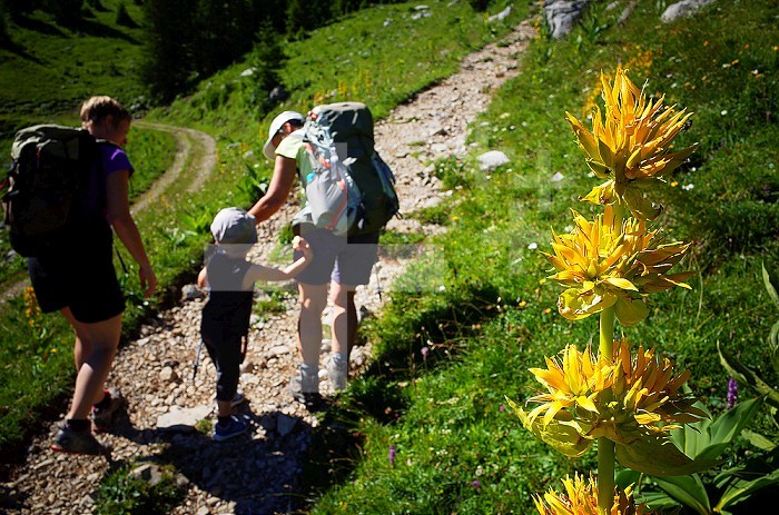 French Alps. Family on a trail.